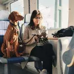 This is what the breed of your dog says about your personality