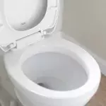 Toilet seat 