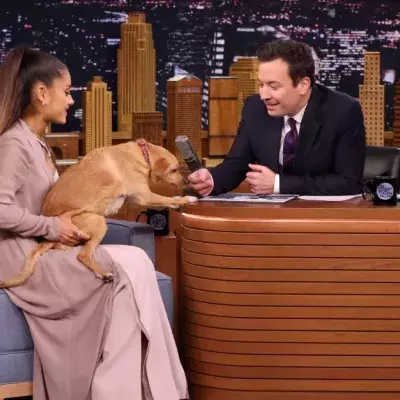 Airana Grande w/ Her Dog On The Tonight Show w/ Jimmy Fallon