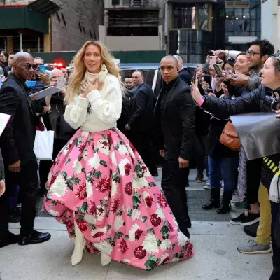 Celine Dion is brokenhearted as Vegas tour postpones