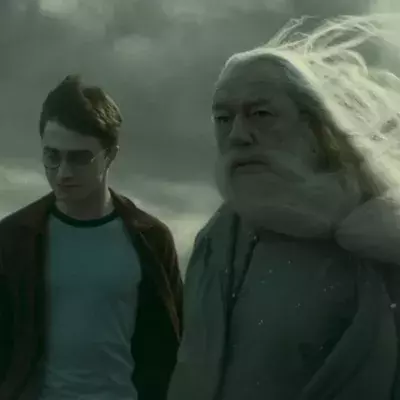 Harry Potter actor Michael Gambon has died aged 82
