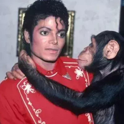 MJ
