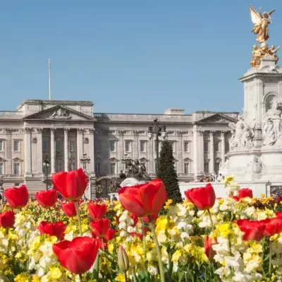 Buckingham Palace