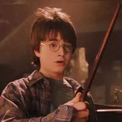 Harry Potter fans astounded as subtitles reveal what Dudley really said in this epic scene