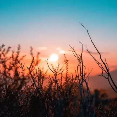 Capricorn, Aquarius, Pisces: This is what your rising zodiac sign says about you