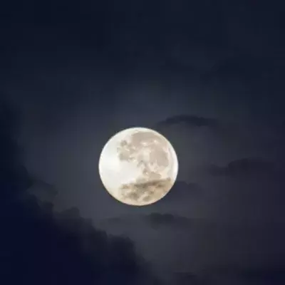 Default image