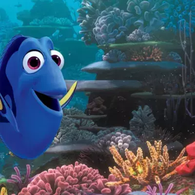 Dory from Finding Nemo