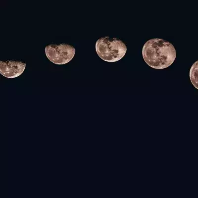 Free horoscope: Here are the predictions for all zodiac signs on April 12, 2023