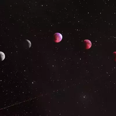 Free horoscope: Here are the predictions for all zodiac signs on April 9, 2023