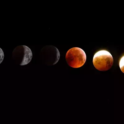 Free horoscope: Here are the predictions for all zodiac signs on February 24, 2023