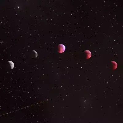 Free horoscope: Here are the predictions for all zodiac signs on July 15, 2023