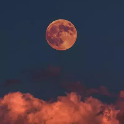 Sagittarius, Capricorn, Aquarius, Pisces: This is what your moon zodiac sign says about you