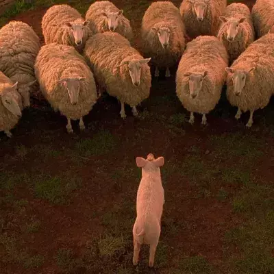 These are the most authentic zodiac signs