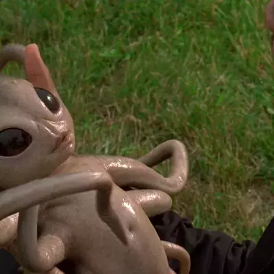 These are the weirdest zodiac signs