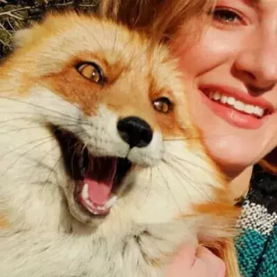 Cheeky Fox!