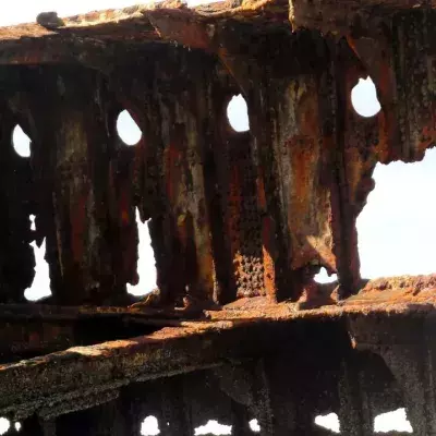Mysterious 500-year-old ship from the Elizabethan era discovered on English Channel coast