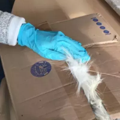 Package