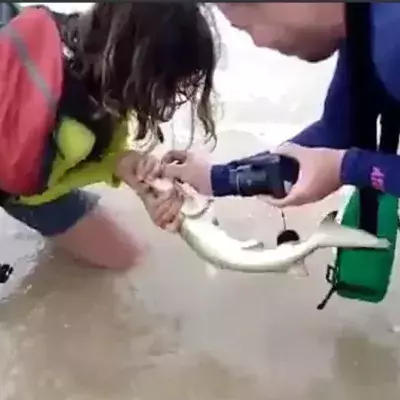 She tries to pull the shark from the water
