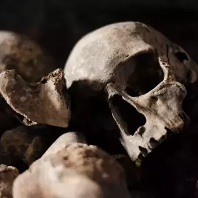 This 1,000-year-old girl's skeleton reveals gloomy detail