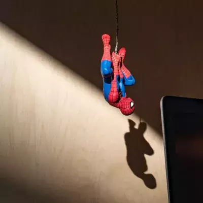 8-year-old boy lets black widow spider bite him so he can become Spiderman
