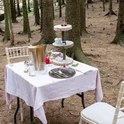 Abandoned table for two found in the woods of Lake District