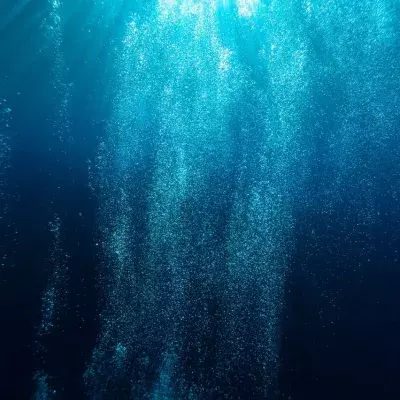 bloop mystery sound researchers explanation deep sea