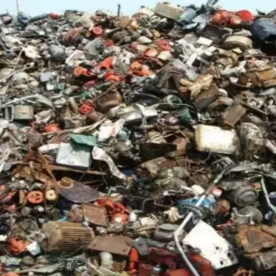 Can You See The Cat In This Photo? Not Many People Have Managed To Find It