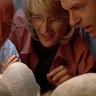 dinosaur eggs appearance discovery archeology