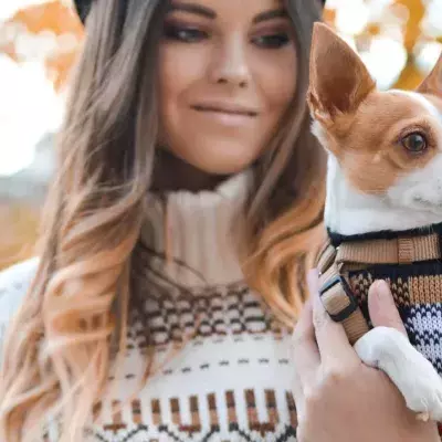 This dog did something unusual to catch its owner's attention