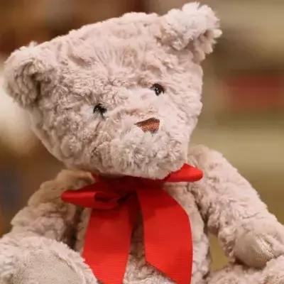A judge in Australia grants a foster child an unusual request 