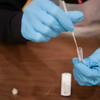Person horrified to find slug in lateral flow test tube
