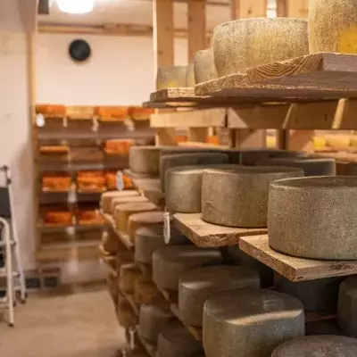Wheels of hard Italian cheese killed a man on the spot in a tragic working accident 