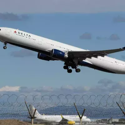 Woman breastfeeds cat on-board flight in front of passengers 