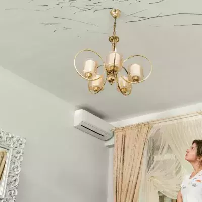 woman spotted sticks in ceiling flying termites