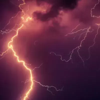 This woman was struck by lightning while walking her dog and recounts what she saw