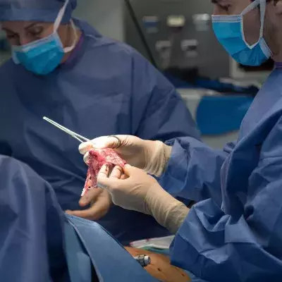 Woman without womb gives birth to two after uterus transplant