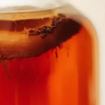 Add kombucha to your skincare routine