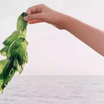 Here’s why seaweed is becoming a major player in skincare