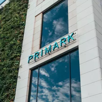 Primark Ruched Accessories 