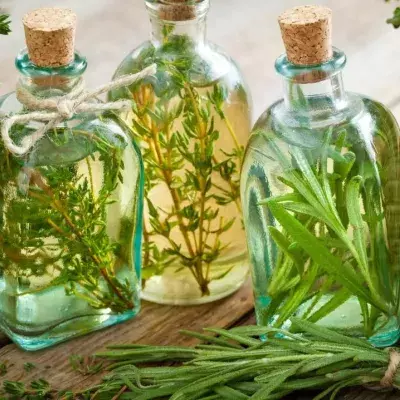 Thyme and herbs