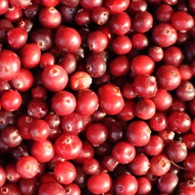 5 health benefits of eating cranberries