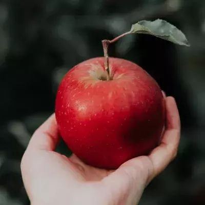 An apple a day