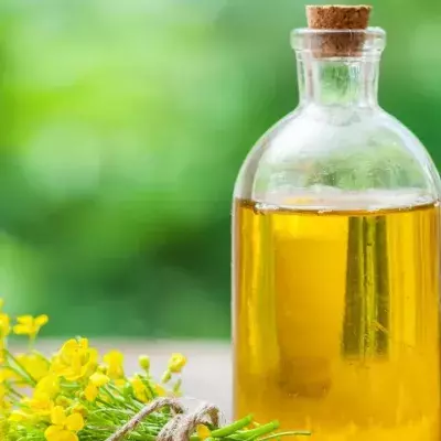 Is canola oil really bad for your health? Here's what the experts have to say