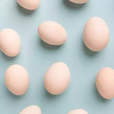 Eggs!