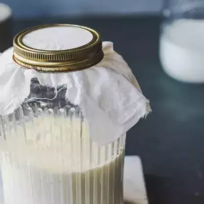 Milk kefir