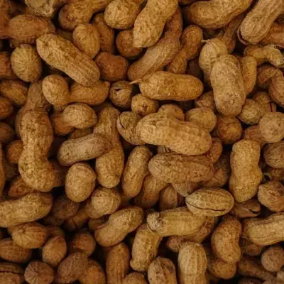 Nut allergy sufferers warned to return these products