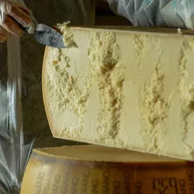 People horrified after learning where Parmesan cheese actually comes from