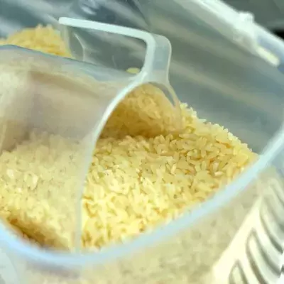 Rice