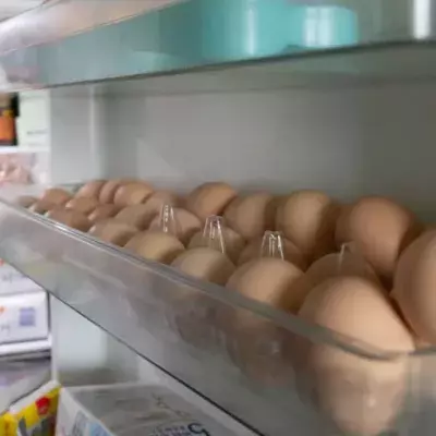 store eggs in the refrigerator 