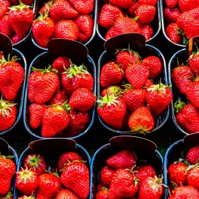 This Video of Insects Living in Strawberries Has Been Traumatising the Internet